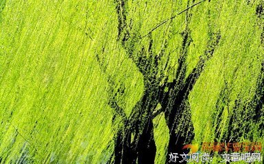 在一起经典的句子