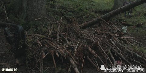 《秘密森林》经典影评集