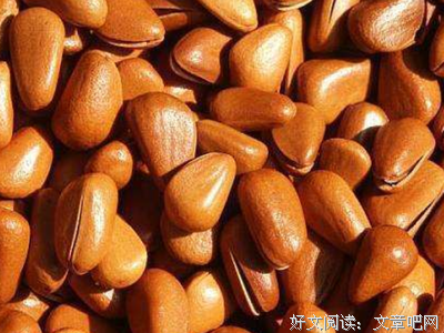 孩子这么吃，长得高，变聪明读后感摘抄