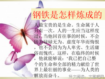 《一辈子的事业》读后感100字