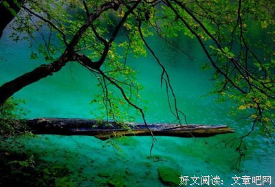 人之常情的名言_关于人之常情的名言