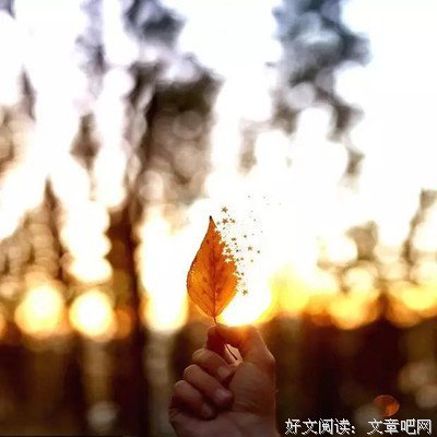 心态（深度好文）
