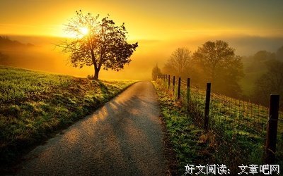 关于茶余饭后的语句