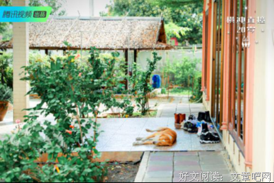 描写横冲直撞的经典句子