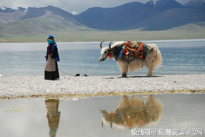 耍流氓的语句摘抄_关于耍流氓的语句