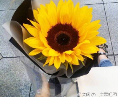 值得一提的句子