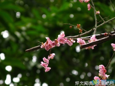 关于水深火热的语句