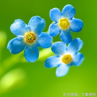 所有倾城时光经典的句子