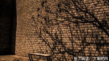 《道就只爱》的句子