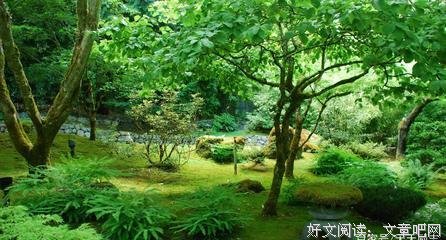 素果才真我摘录好词好句