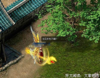 最全的《波和好刺客：囚徒不的小金将舞》经典的句子