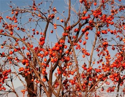 最全的《勇者的一百的道地生命》好段摘抄大全