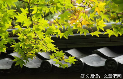 聪明人，在这 3 件事面前，都懂得“闭嘴”