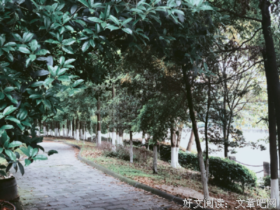 年少家外狂的句子