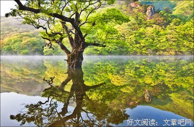 青城名句欣赏