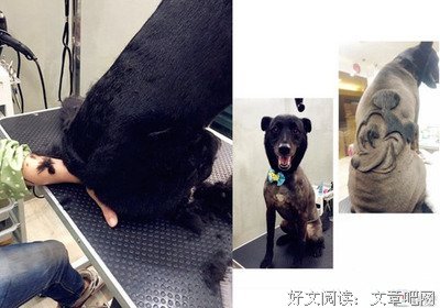 《营救汪星人》好看吗？经典观后感锦集