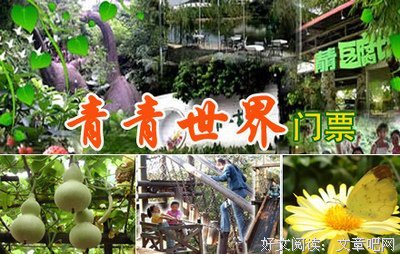 《梦呓雨林》好看吗？经典观后感锦集