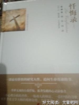 《忏悔录 （上下册）》读后感锦集