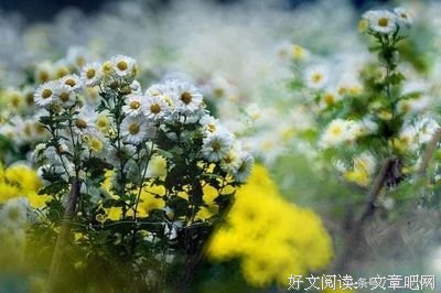 今年，真的好累，好难！