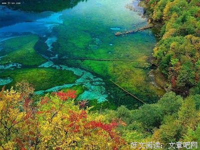描写浑然天成的经典句子