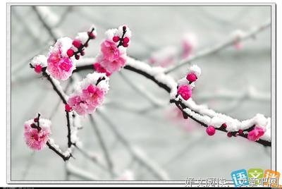 喜欢的优美的句子