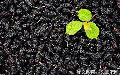高考被顶替的都是农村娃：根本不是偶然，而是精心策划的局