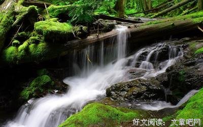 触痛了我的心句子大全
