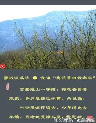 《摊破浣溪沙》原创