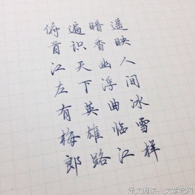 琅琊榜的优美句子