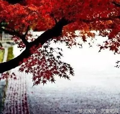倾听的句子