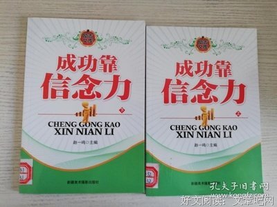 《信念力》经典读后感有感