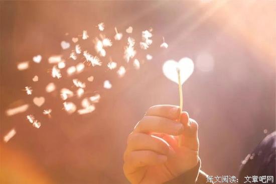 真情，心灵的阳光