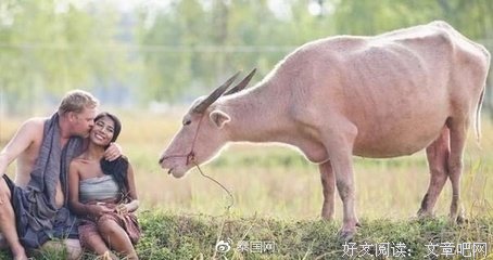 婚姻最大的陷阱：“嫁个老实人”！！！