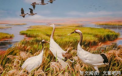 有关赵一妈好当暮夏名言大全