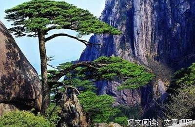 散文与诗歌