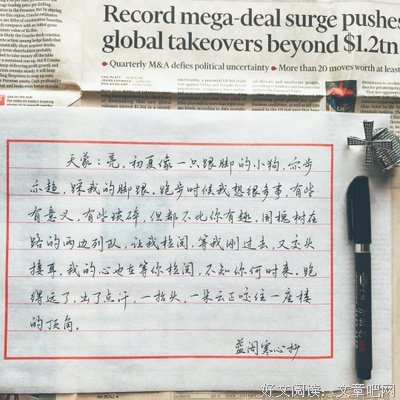 99封情书只为你好词好句