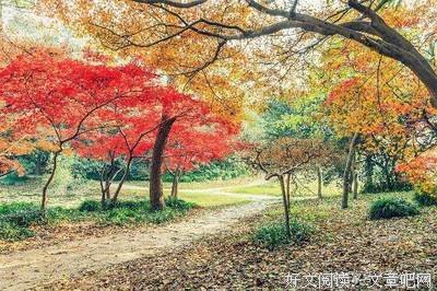 徐文美句优美的句子