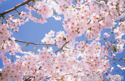 格走格过优美的句子
