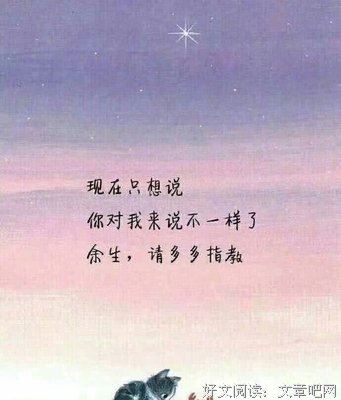 可能有种小悲凉的句子