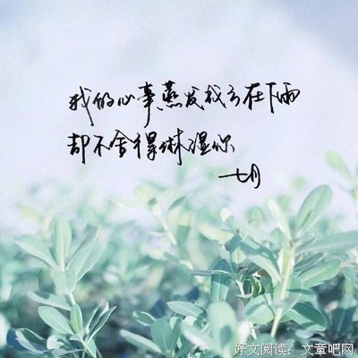 情优美的句子