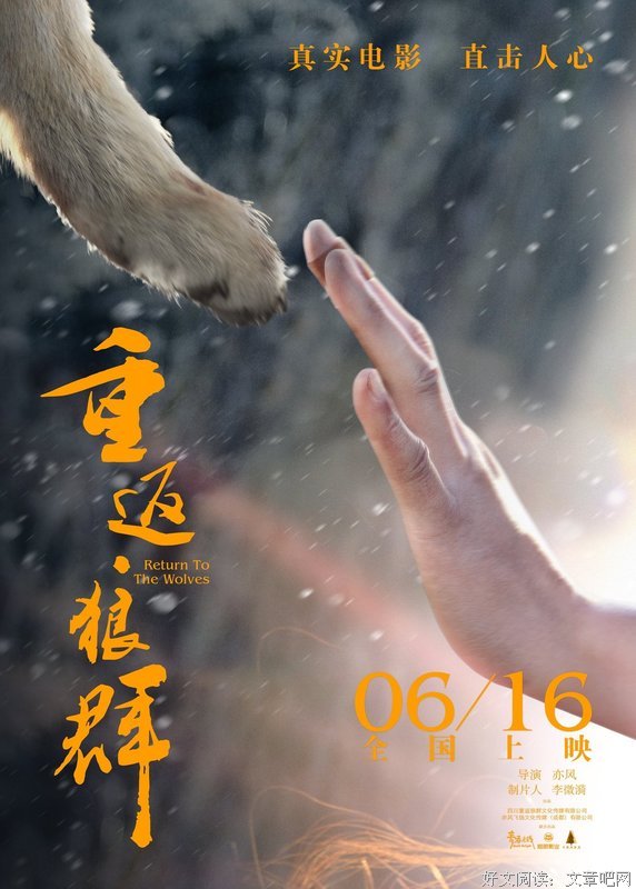 《重返·狼群》经典观后感1000字