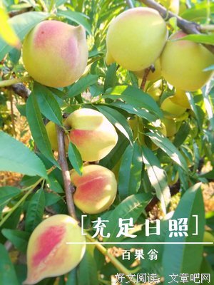 翁南句子