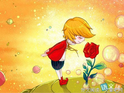 小王子经典读后感有感
