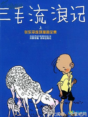 《三毛1943-1991》读后感100字