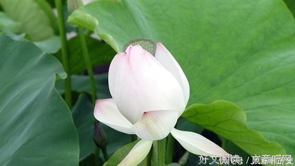 投机取巧格言警句