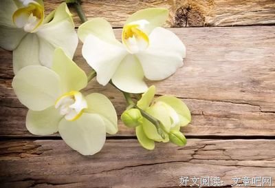关于乐善好施的唯美语录