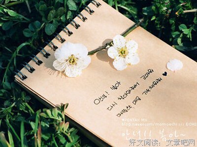 描写杀人不眨眼的经典句子