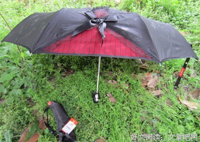 15条关于实话实说的经典语句