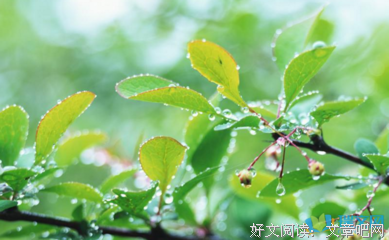 描写丝丝入扣的经典句子