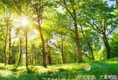 好词好句句子大全